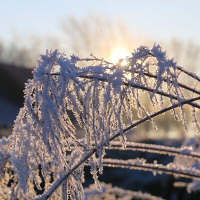 vorst kou, glad ijzel
