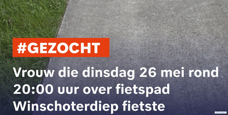 Getuigen gezocht bij Winschoterdiep: Driewielfietser(90) valt ongelukkig